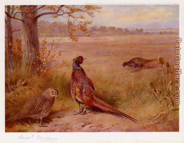 The Old and the New painting - Archibald Thorburn The Old and the New art painting